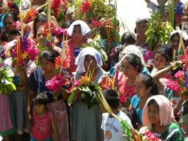 Messico: un fiore che non appassisce