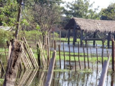 Guaranì Project of the Focolare in Paraguay