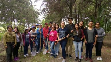 Campos de trabajo “hombre-mundo”