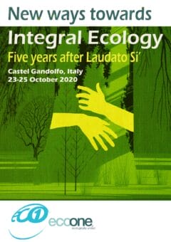 Mudança climática: última chamada?