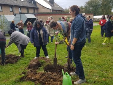 Construir uma ecovila global: dicas do GreenCare da Bélgica